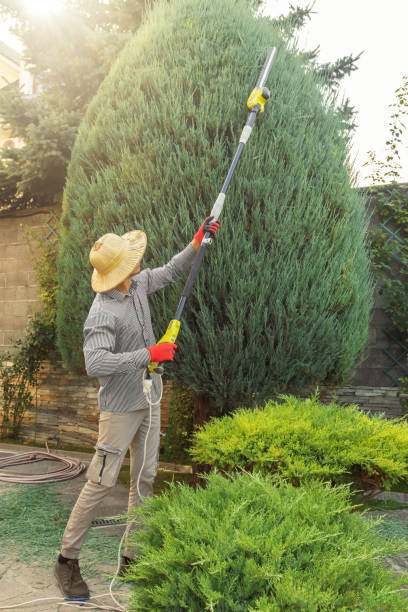 Best Weed Control  in Leander, TX